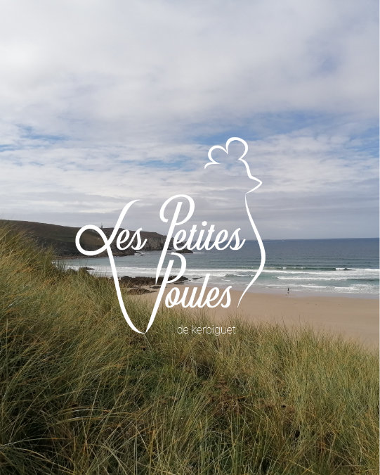 Les petites poules